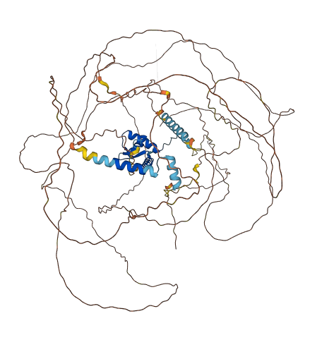 STOX2 3D structure
