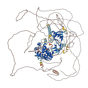 ARHGAP20 3D structure