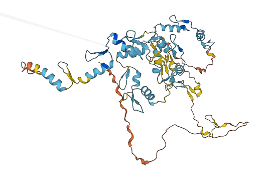 ZNF319 3D structure