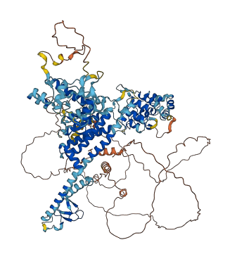 ANKIB1 3D structure