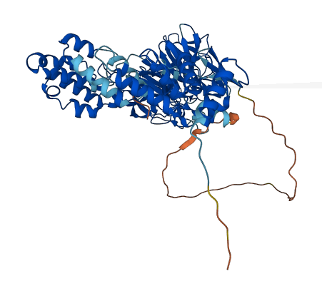 KLHL14 3D structure