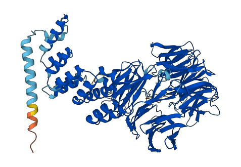 IFT80 3D structure