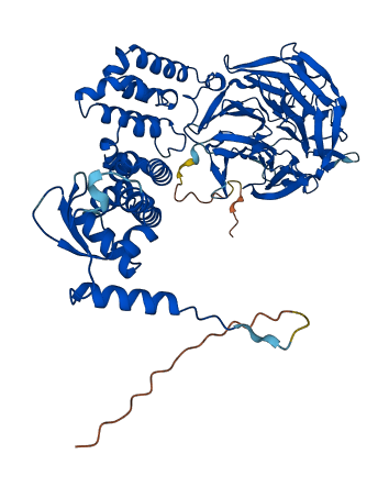 KLHL9 3D structure