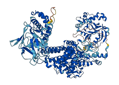 LARS1 3D structure