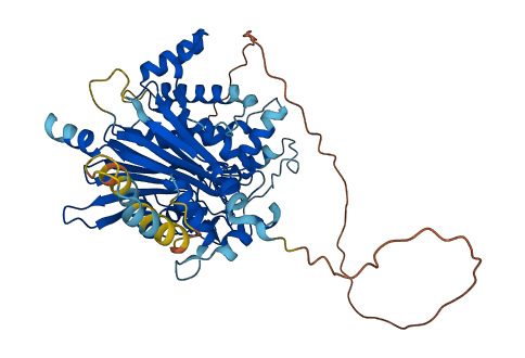 PDP2 3D structure