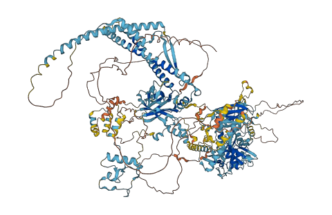 CC2D2A 3D structure