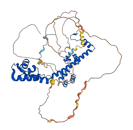 RCOR3 3D structure
