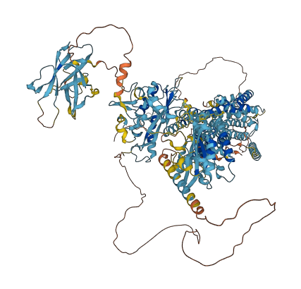 DISP3 3D structure