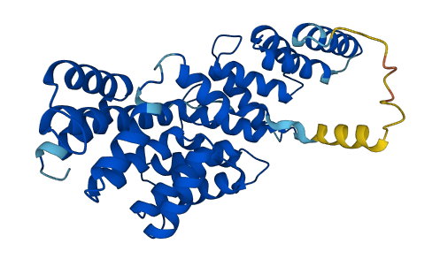 LRP2BP 3D structure