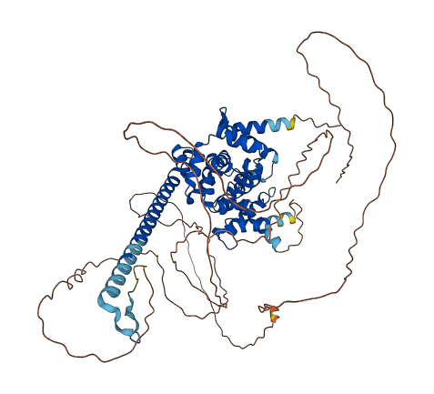 TBC1D14 3D structure