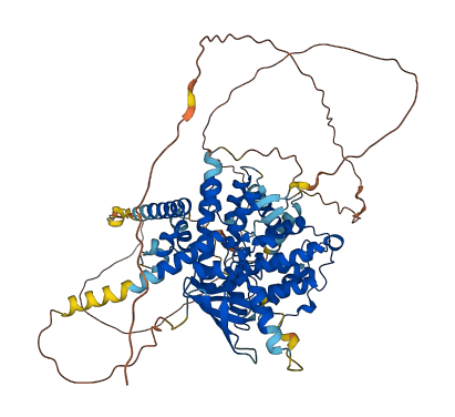 ARHGAP28 3D structure