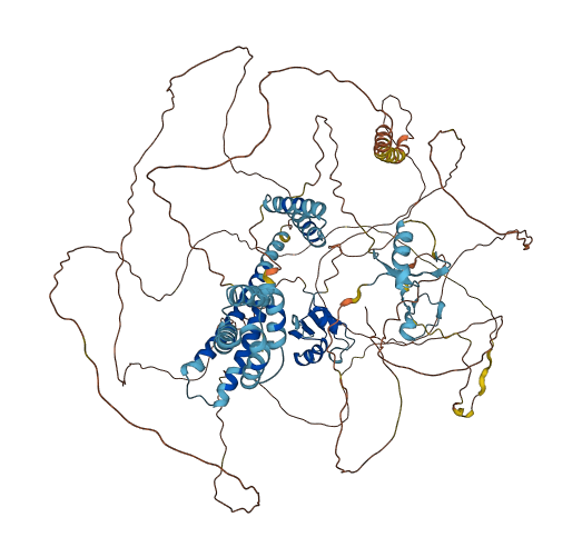 RBM27 3D structure