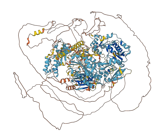 NYNRIN 3D structure