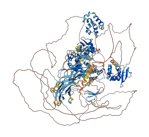 HECW2 3D structure