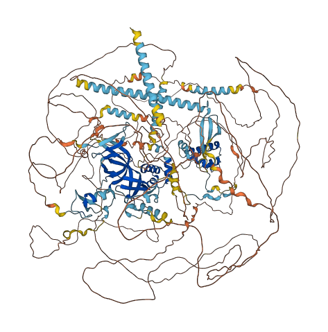 RERE 3D structure