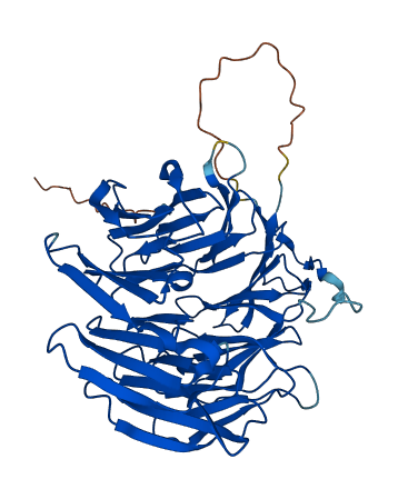 WRAP73 3D structure