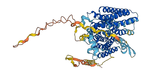 SLC17A7 3D structure