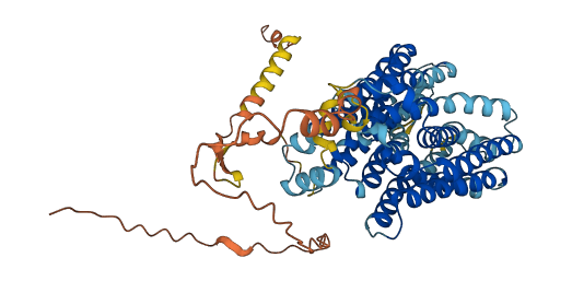 SLC17A6 3D structure