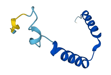 GNG13 3D structure