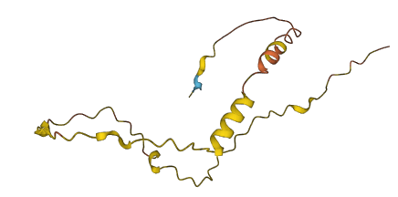 C11orf21 3D structure