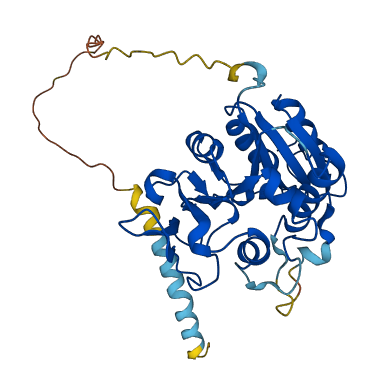 B3GAT1 3D structure