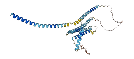 STX18 3D structure