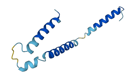 DPM3 3D structure