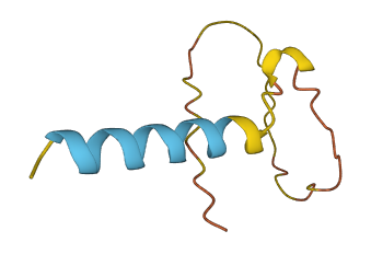 LINC00474 3D structure
