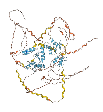 ZNF219 3D structure