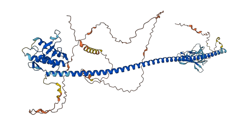 UVRAG 3D structure