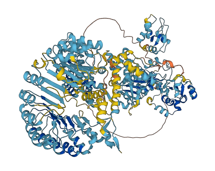 Naip2 3D structure