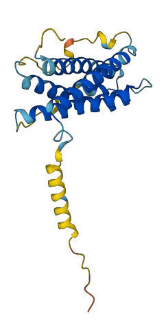Prl3c1 3D structure