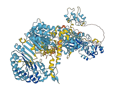 Naip1 3D structure