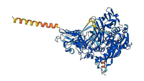 Clca3a1 3D structure