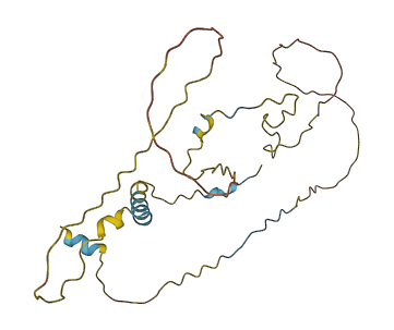 Trp53inp1 3D structure