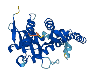 Cml5 3D structure