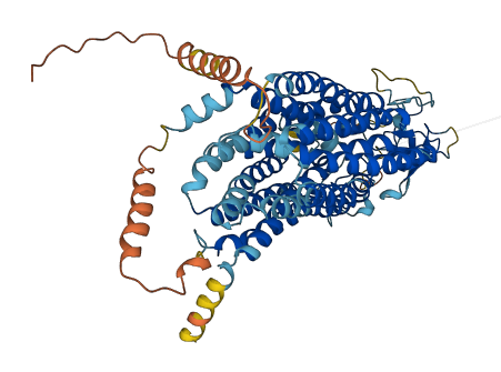 Slco1a1 3D structure