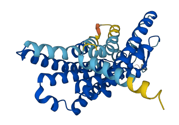 Olfr154 3D structure