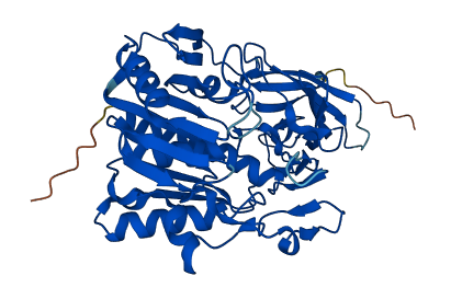 Acot3 3D structure