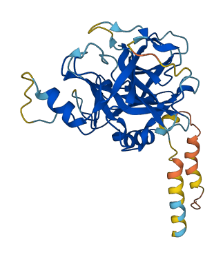 Prss30 3D structure