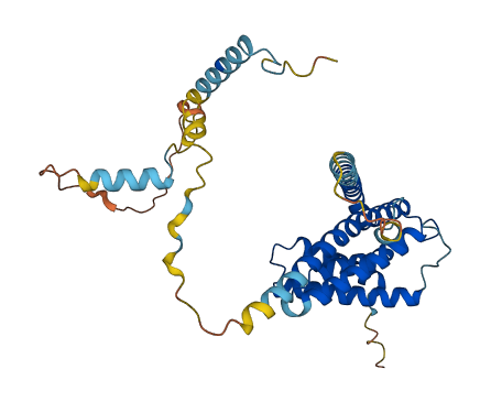 Igbp1b 3D structure