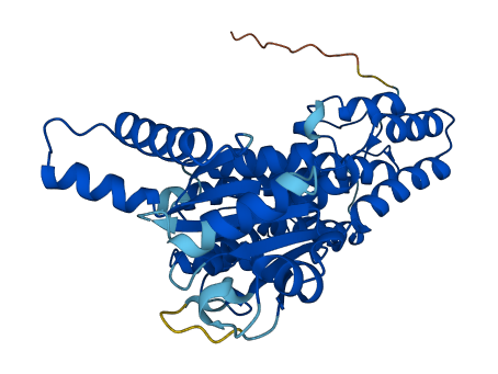 Iigp1 3D structure