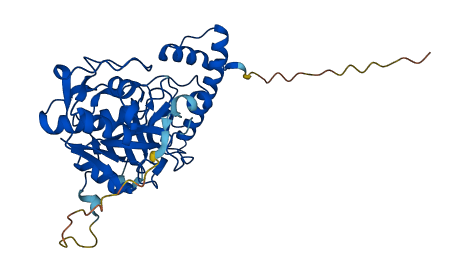 Ctsq 3D structure