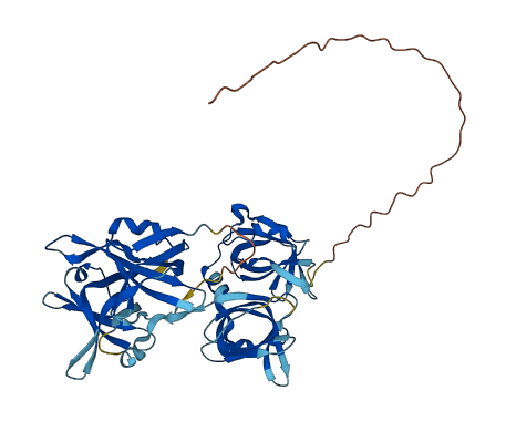 Ifi202 3D structure