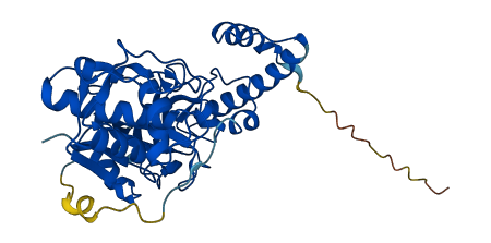 Ctsj 3D structure