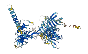 Adam26a 3D structure