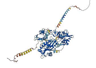 Adam25 3D structure