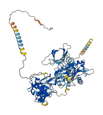 Adam24 3D structure