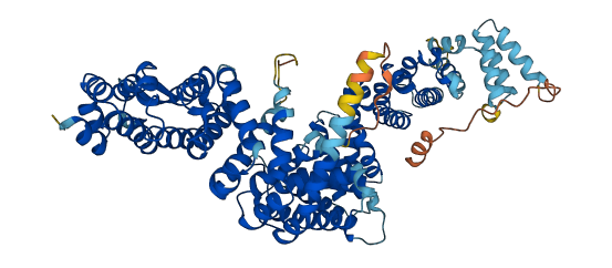 NCDN 3D structure