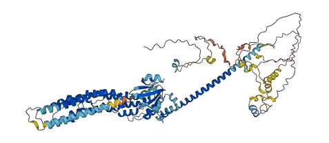 TFIP11 3D structure
